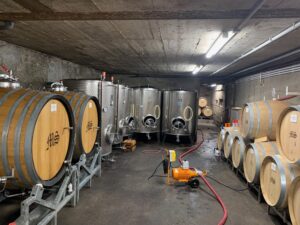 Keller von Weingut Max Schell