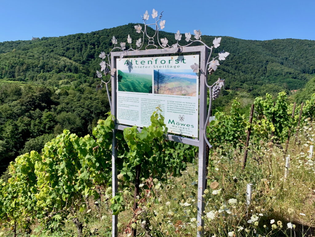 Burrweilerer Altenforst von Weingut Möwes