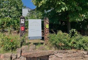 Weingut Möwes