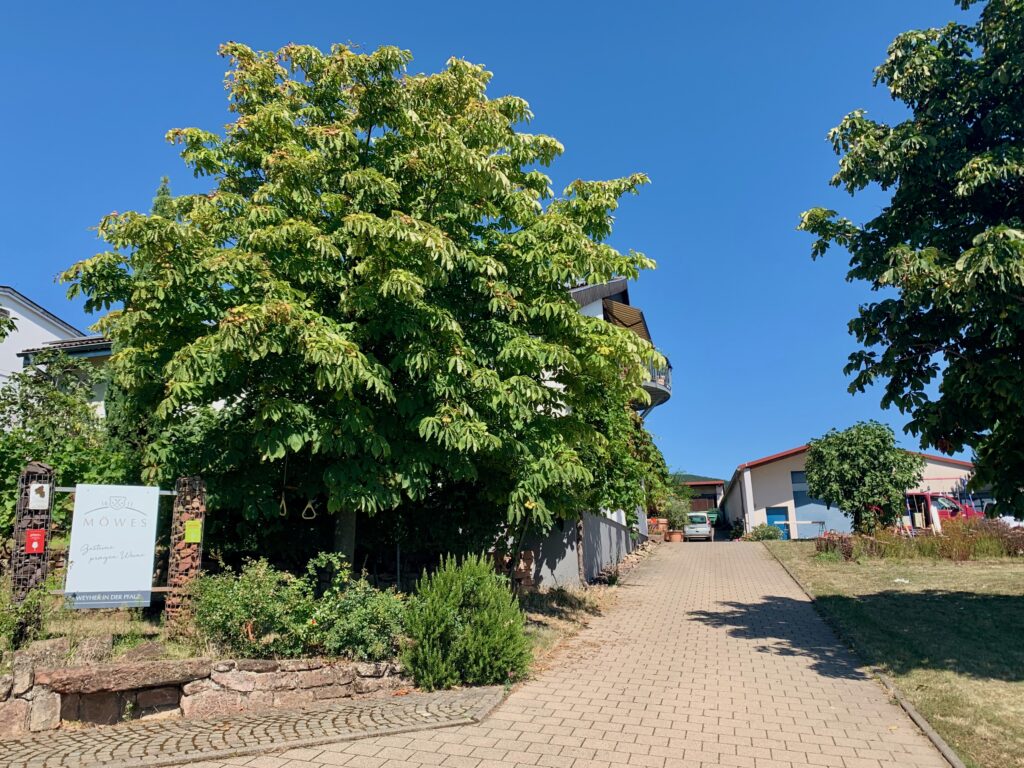 Weingut Möwes